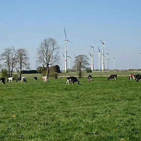 Coastal View Of East Frisia Westerholt (Lower-Saxony)